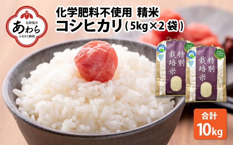 【令和6年産】 化学肥料不使用コシヒカリ 精米10kg（5kg×2袋） / 白米 米 福井県あわら市産 美味しい 特別栽培米 減農薬 安心な米 旨味 甘み もっちり エコファーマー こしひかり 冷蔵保管米 新米