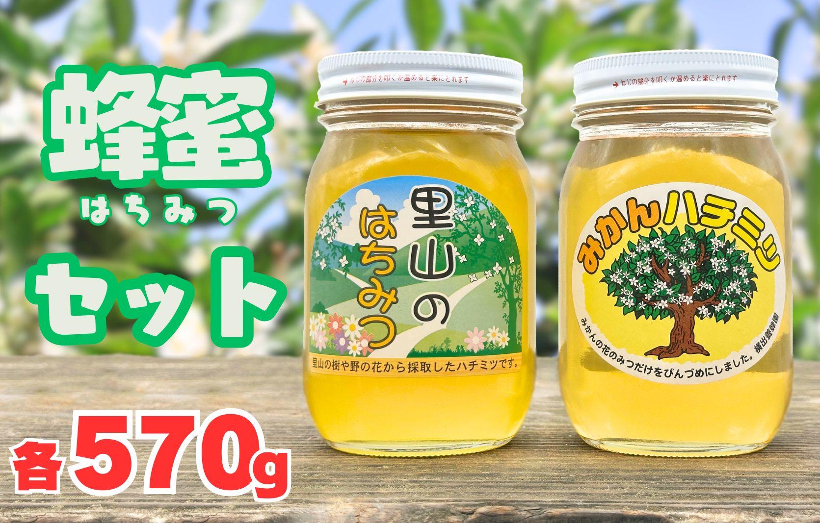 ありだみかん蜂蜜・ありだ里山の蜂蜜（各570ｇ）