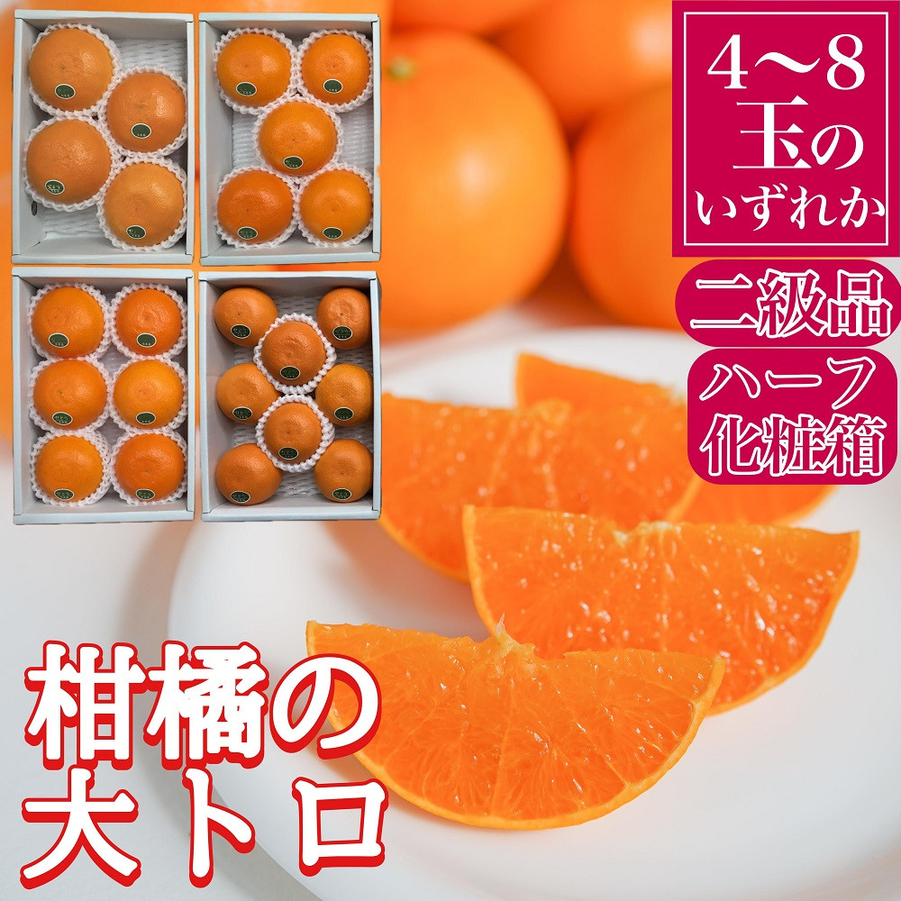 ちょっと&nbsp;傷あり&nbsp;ハーフ&nbsp;化粧箱&nbsp;柑橘の大トロ&nbsp;ハウス&nbsp;せとか&nbsp;4&nbsp;～&nbsp;8玉入&nbsp;南泰園