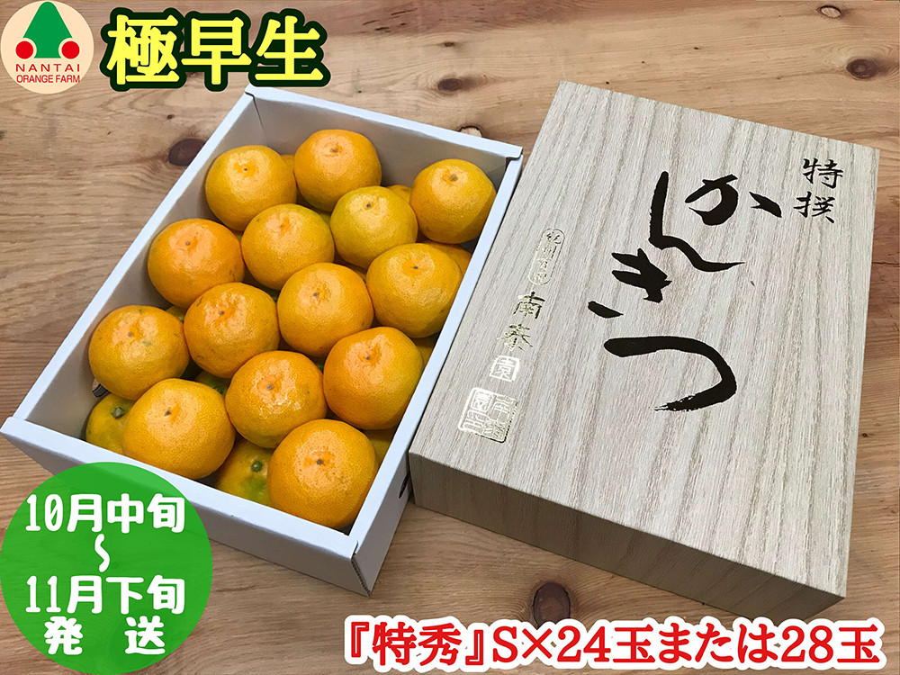 極早生&nbsp;有田&nbsp;みかん&nbsp;化粧箱&nbsp;小箱&nbsp;特秀&nbsp;S&nbsp;サイズ&nbsp;24玉または28玉入&nbsp;南泰園&nbsp;和歌山&nbsp;有田みかん