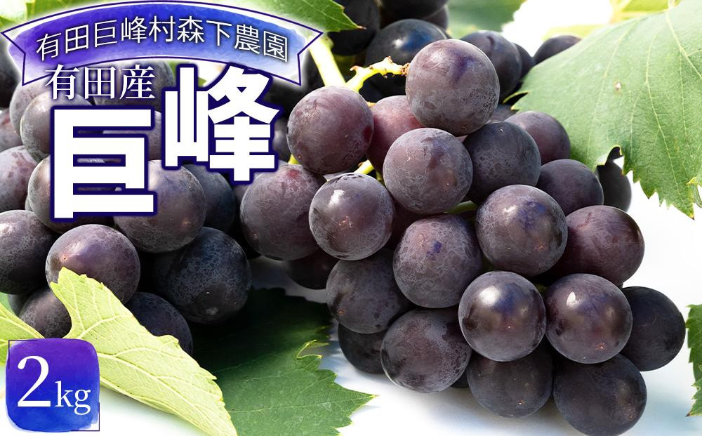 有田産&nbsp;巨峰&nbsp;約&nbsp;2kg&nbsp;有田巨峰村&nbsp;森下農園&nbsp;ぶどう&nbsp;送料無料&nbsp;フルーツ