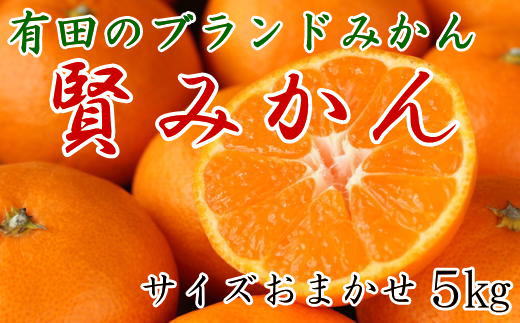 [秀品]有田のブランドみかん「賢みかん」5kg(サイズおまかせ)