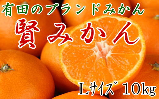 [秀品]有田のブランド「賢みかん」10kg(Lサイズ)【2024年11月中旬頃より順次発送】