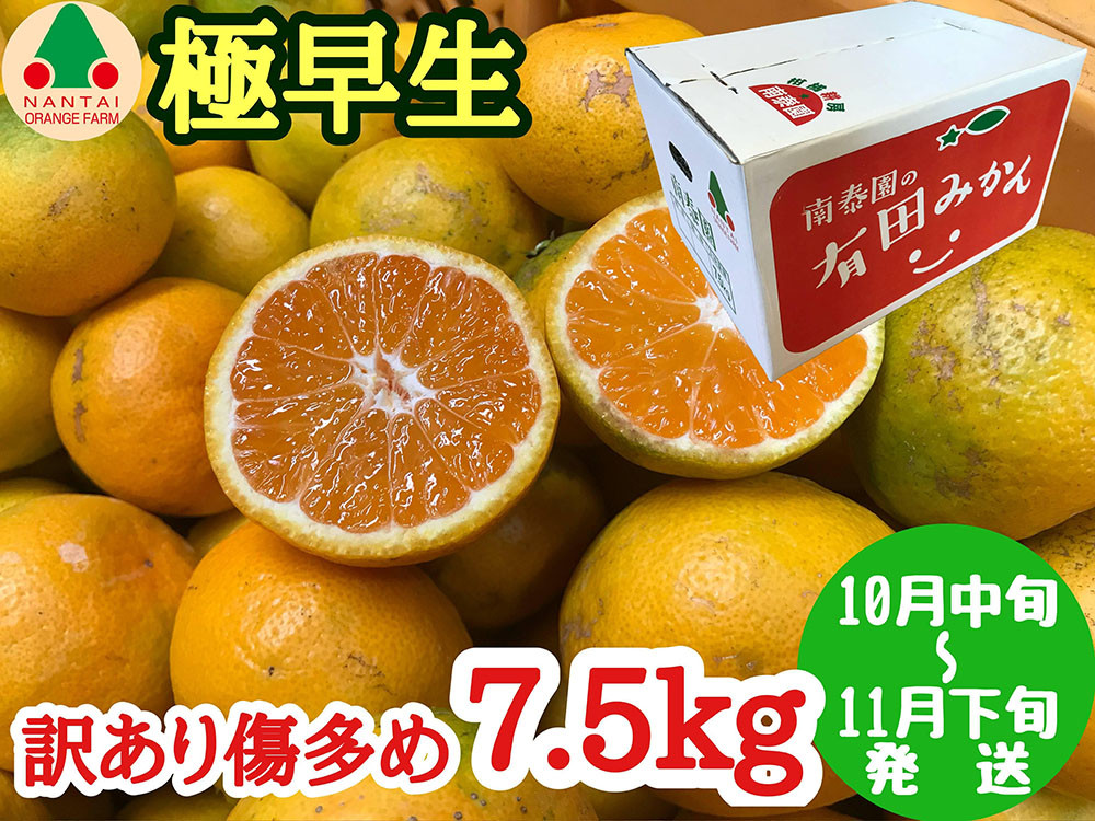訳あり&nbsp;傷多め&nbsp;極早生&nbsp;有田&nbsp;みかん&nbsp;7.5kg&nbsp;L～SS&nbsp;サイズおまかせ&nbsp;南泰園&nbsp;和歌山&nbsp;有田みかん