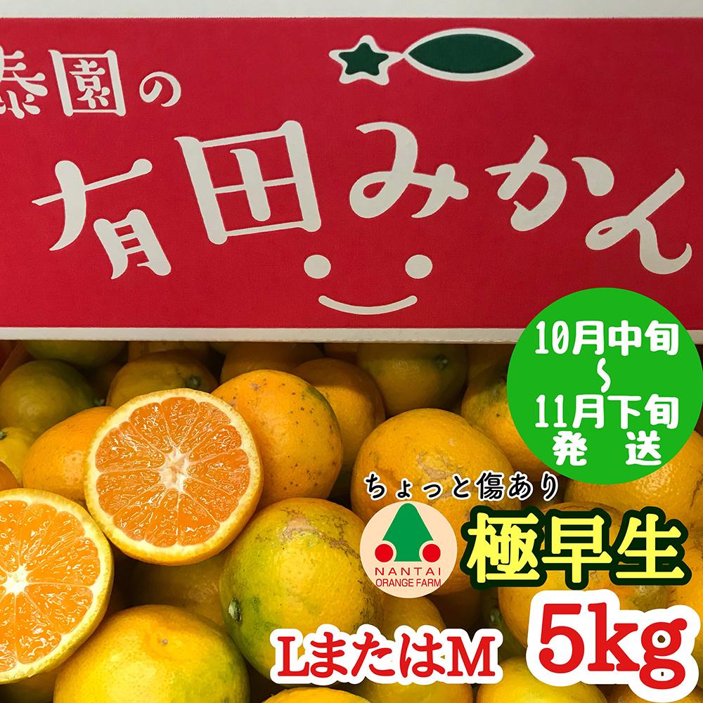 ちょっと 傷あり 極早生 みかん 有田 L または M サイズ 5kg 南泰園