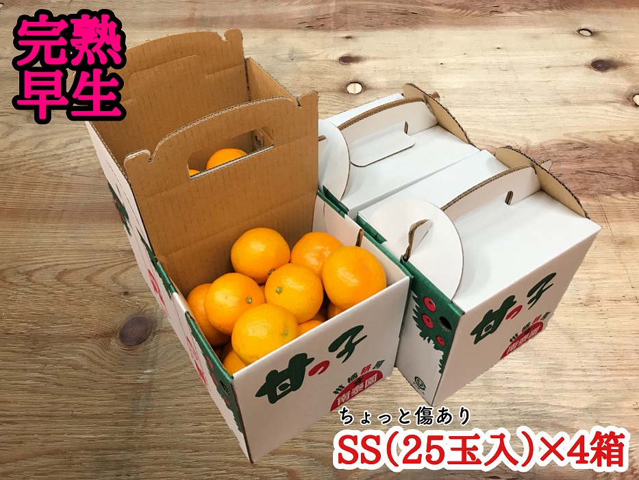 年内発送 手さげ箱 ちょっと 傷あり 完熟早生 有田みかん SS 25玉入 × 4箱 和歌山 南泰園