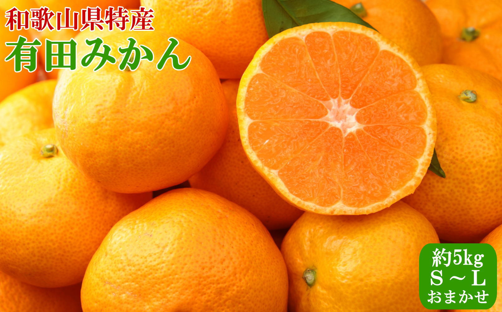 [秀品]和歌山有田みかん5kg&nbsp;(S～Lサイズおまかせ)&nbsp;★2026年11月中旬頃より順次発送