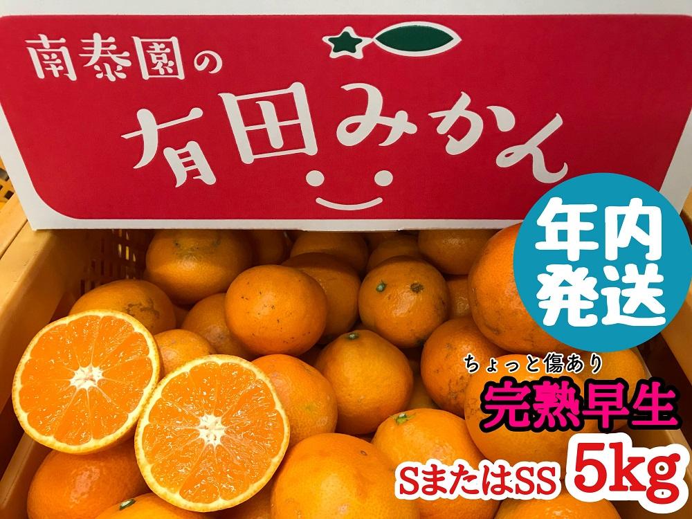 年内発送 ちょっと 傷あり 完熟早生 有田みかん S または SS 5kg 和歌山 南泰園