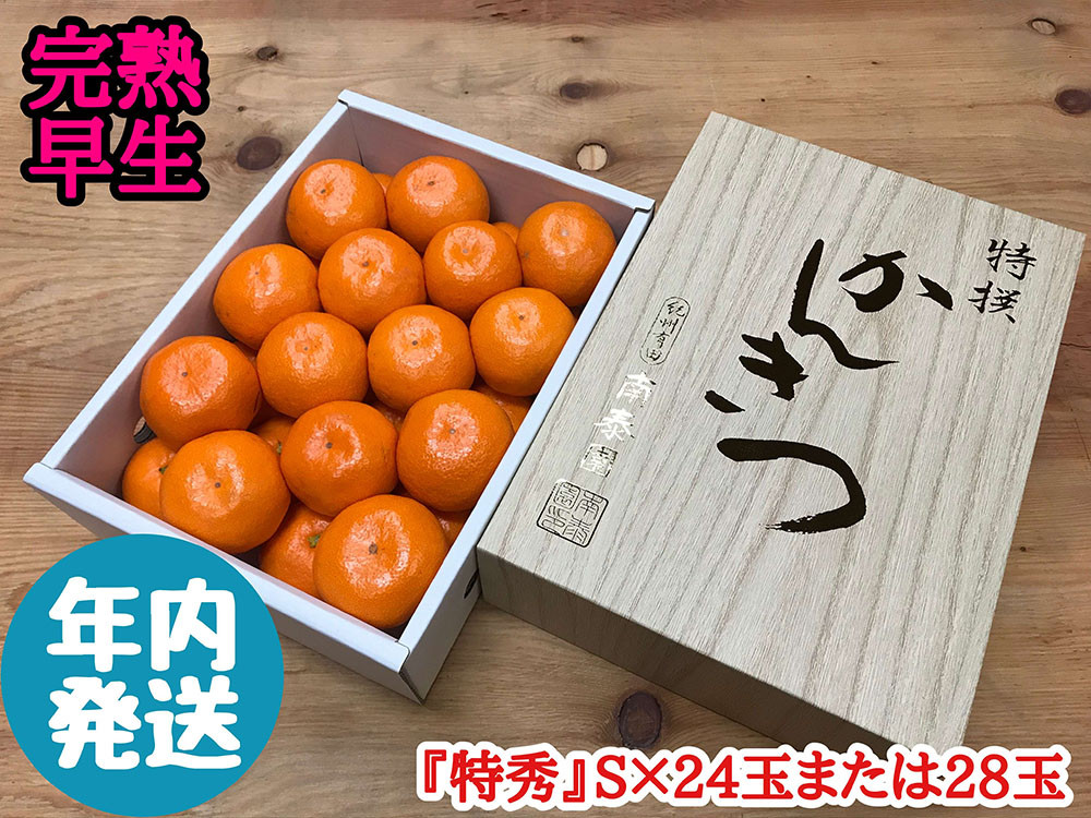 年内発送 完熟早生 有田みかん 化粧小箱 特秀 S サイズ 24玉または28玉入 和歌山 南泰園 みかん