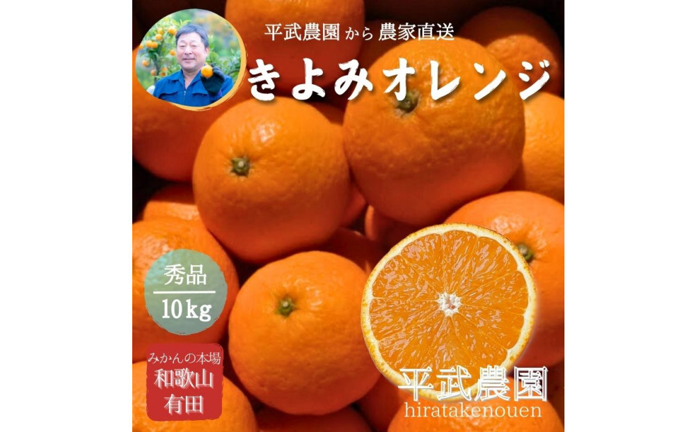 農家直送！きよみオレンジ&nbsp;10kg&nbsp;≪秀品≫［平武農園］～蛍飛ぶ町から旬の便り～［2026年3月下旬から順次発送予定］