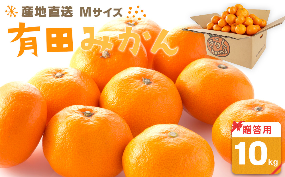 産地直送 贈答用 有田みかん Mサイズ 約10kg 喜楽farms 【2025年11月以降順次発送】