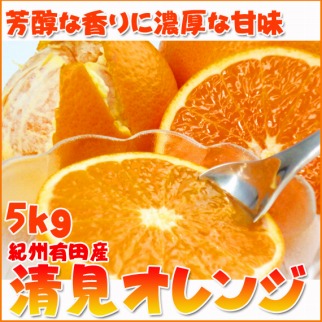 とにかくジューシー清見オレンジ　5kg【2025年3月下旬以降発送】【先行予約】【UT53】