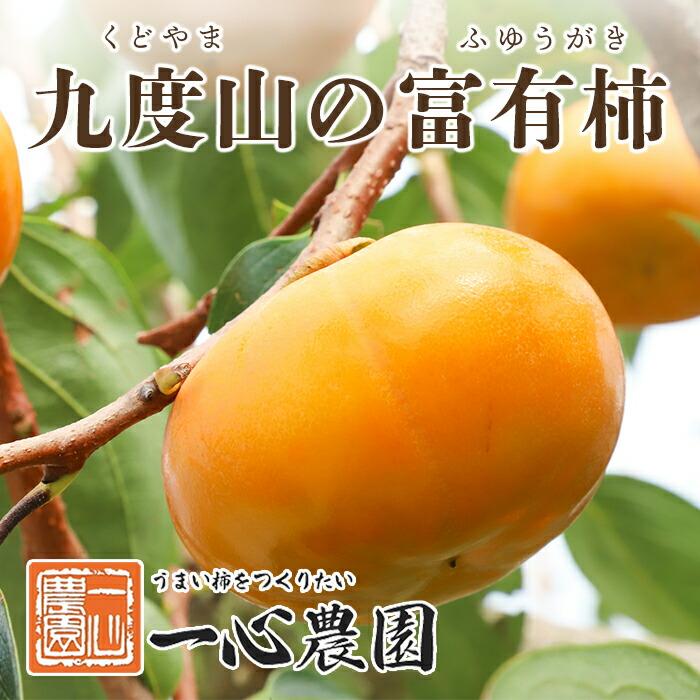 一心農園の富有柿 家庭用 約1.8kg