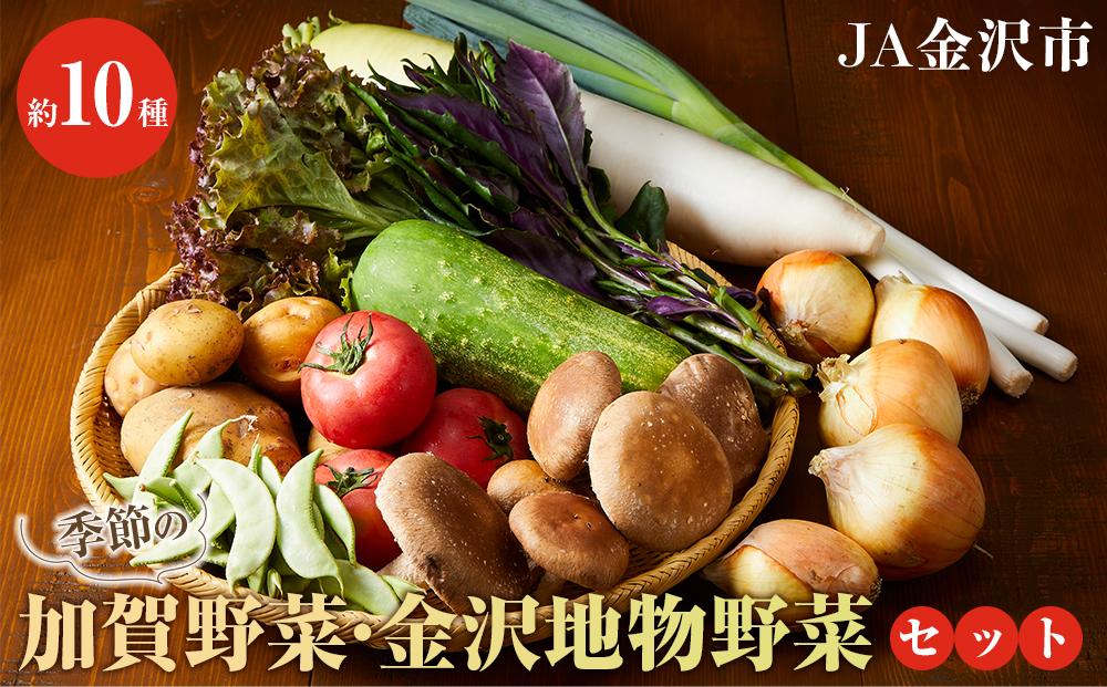 【数量限定】JA金沢市 季節の加賀野菜・金沢地物野菜セット  石川 金沢 加賀百万石 加賀 百万石 北陸 北陸復興 北陸支援