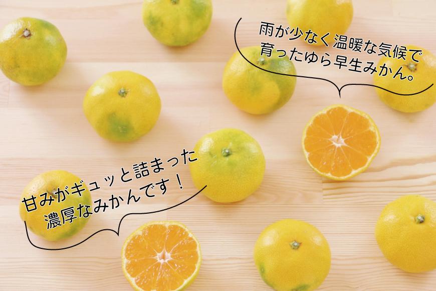 和歌山県産 ゆら早生みかん サイズおまかせ5kg 農家直送【2024年10月中旬頃より順次発送予定】 | JTBのふるさと納税サイト [ふるぽ]