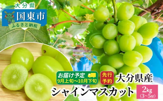 【先行予約】【令和8年発送】おおいたの豊潤シャインマスカット&nbsp;約2kg_1615Ｒ