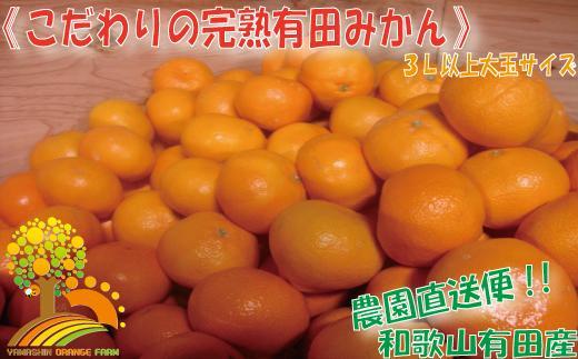 ＼農家直送／こだわりの大玉有田みかん 3Lサイズ以上約7.5kg【2024年12月より順次発送】