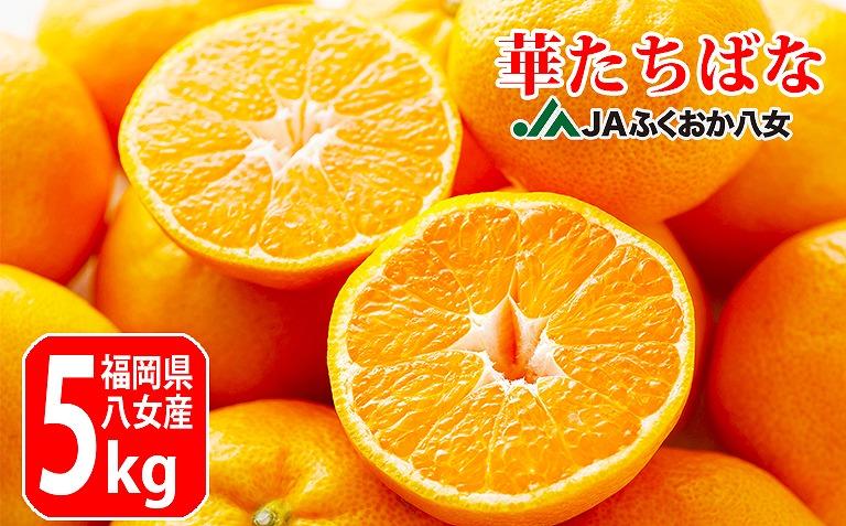 先行受付：12月上旬発送開始予定】華たちばなみかん 5kg｜ＪＡふくおか