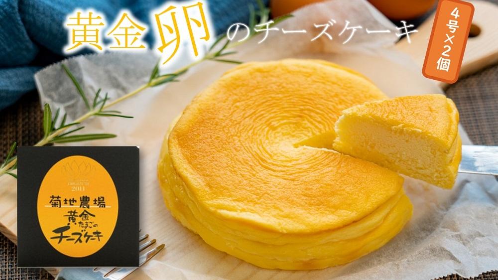 菊地農場 黄金たまごのチーズケーキ　4号サイズ（240g）×2個