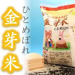 【無洗米】金芽米ひとめぼれ4.5kg 令和4年産 