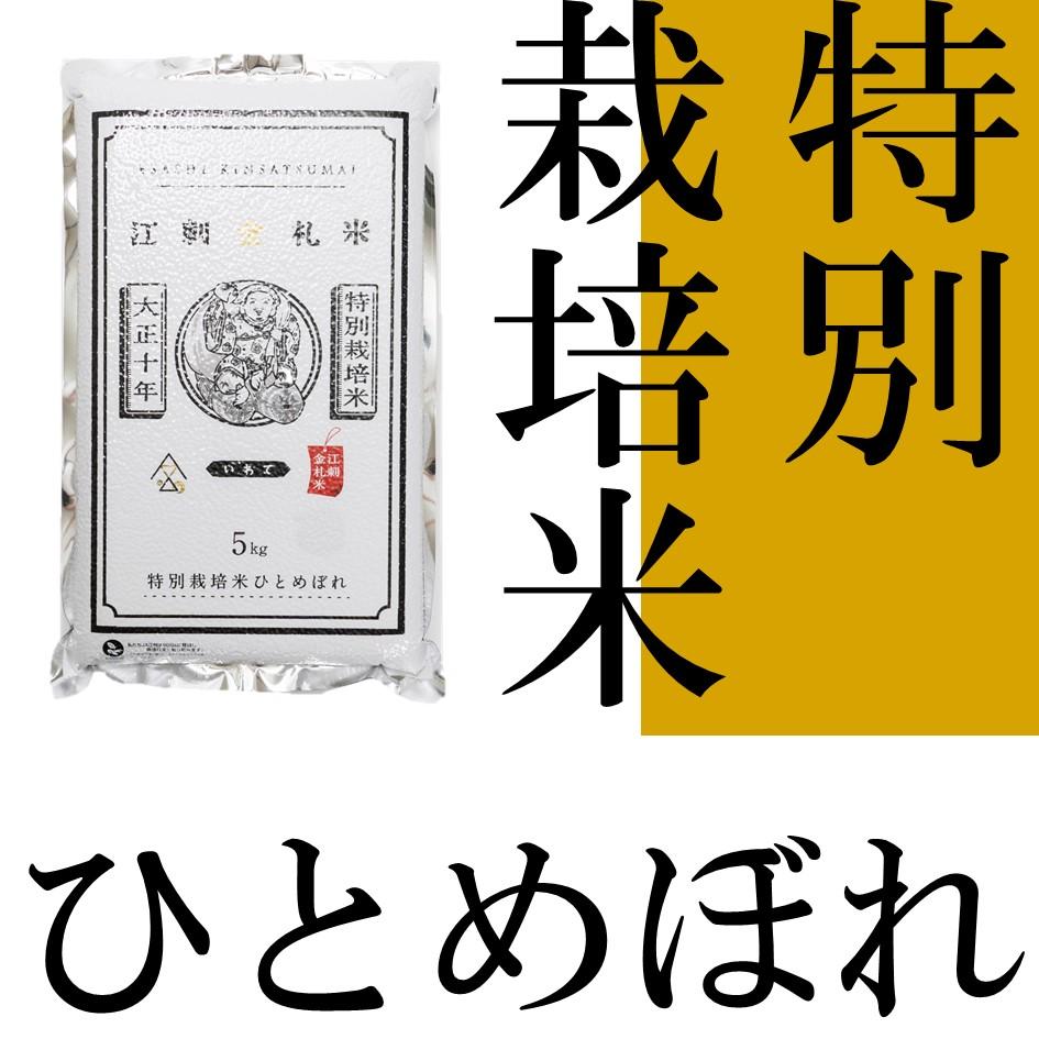 ☆全6回定期便☆ 江刺金札米ひとめぼれ パック米 5kg×6カ月 計30kg 令和5年産 おこめ ごはん ブランド米 精米 白米 |  JTBのふるさと納税サイト [ふるぽ]