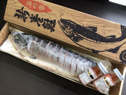 【数量限定】新巻鮭切身姿1尾と特製いくら醤油漬けセット（網走加工）