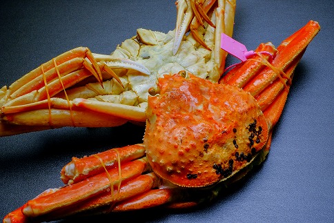 【蟹の匠　魚政】ボイル済み　急速冷凍　茹で松葉ガニ　700g級 2匹セット