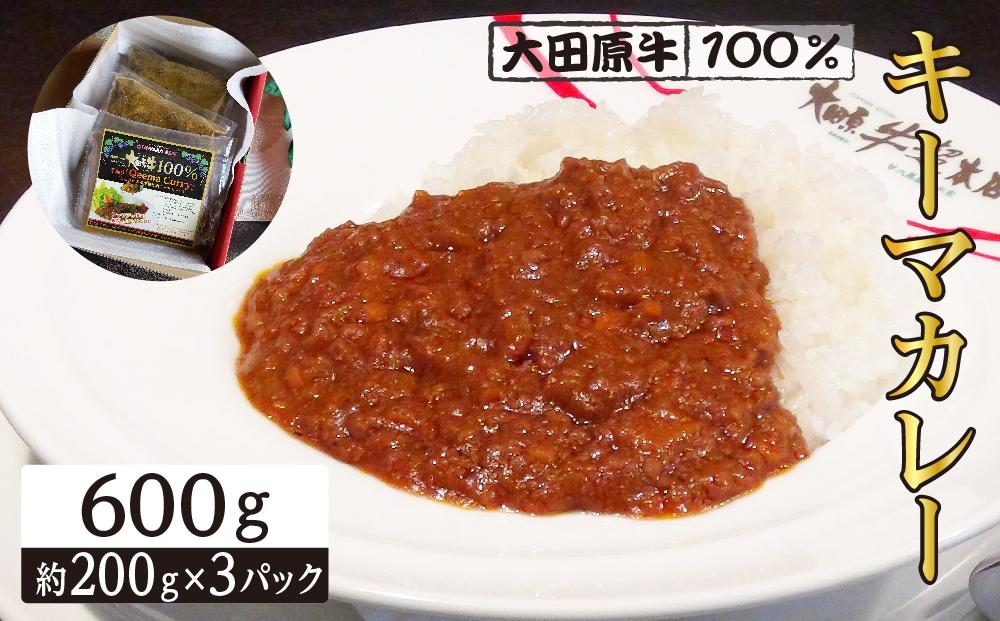 大田原牛 100％ キーマカレー 3パックセット | レトルト カレー 和牛  牛肉  高級 