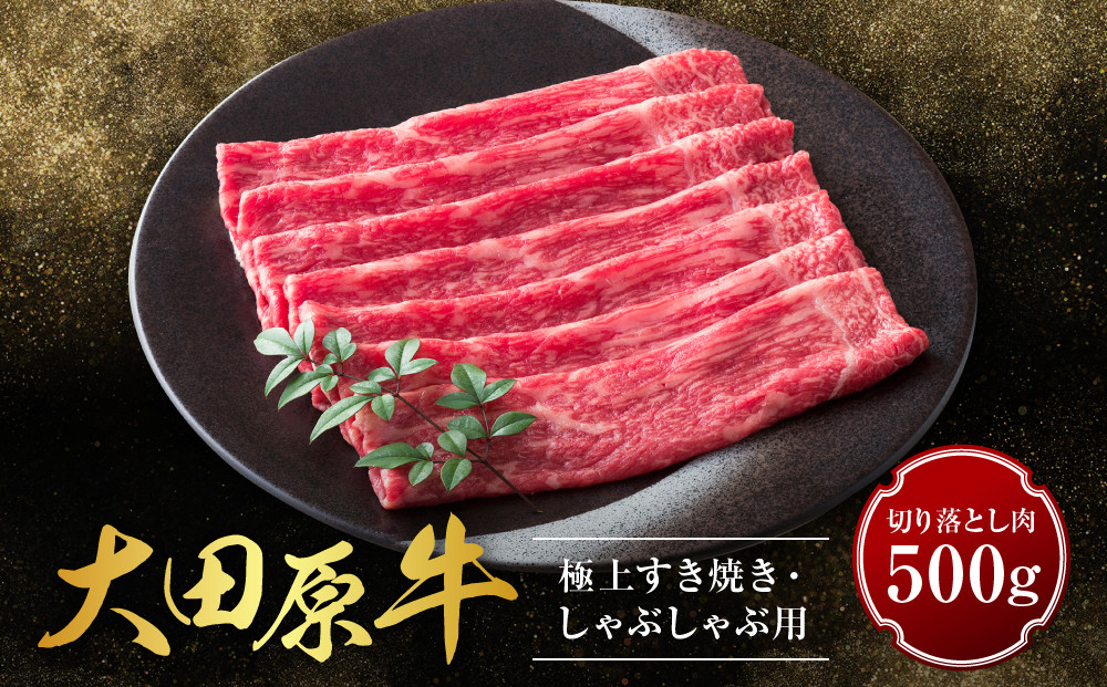 大田原牛&nbsp;極上&nbsp;すき焼き・しゃぶしゃぶ用切り落とし肉（500g）|&nbsp;ブランド牛&nbsp;和牛&nbsp;牛肉&nbsp;&nbsp;切り落とし&nbsp;高級&nbsp;すき焼き&nbsp;しゃぶしゃぶ