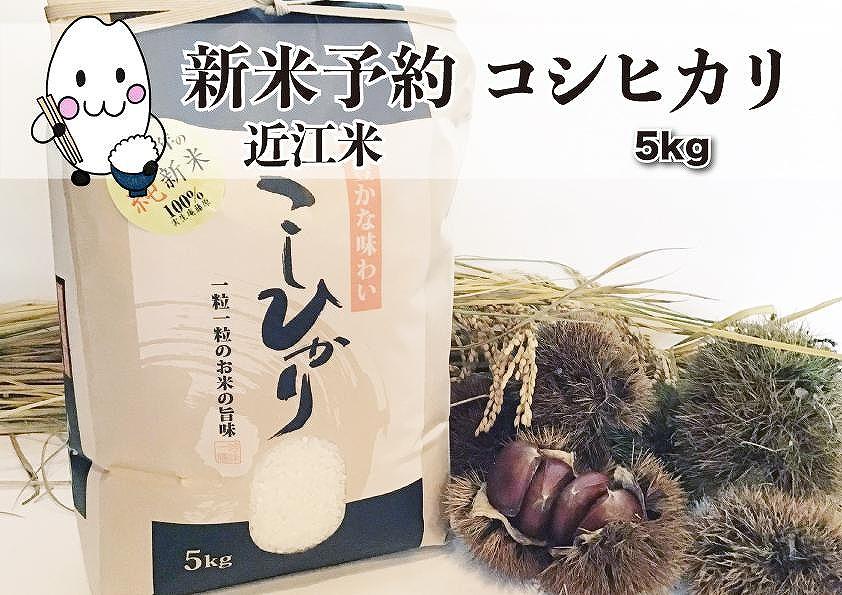 [お米]滋賀県産コシヒカリ(令和5年産・新米‼️)5kg