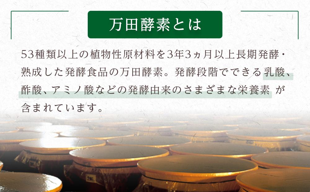 万田酵素金印ペースト（分包）タイプ 150g(2.5g×60包） | JTBのふるさと納税サイト [ふるぽ]