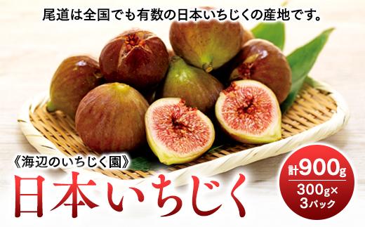 【期間限定】《海辺のいちじく園》日本いちじく  300g×3パック