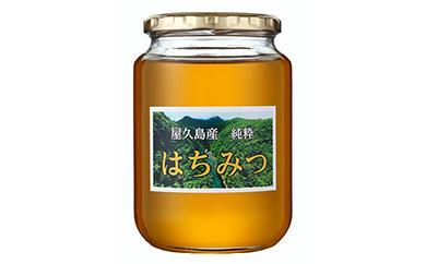 2024年春採れ先行予約】屋久島産純粋はちみつ 1kg 2本詰め 計2kg | JTB