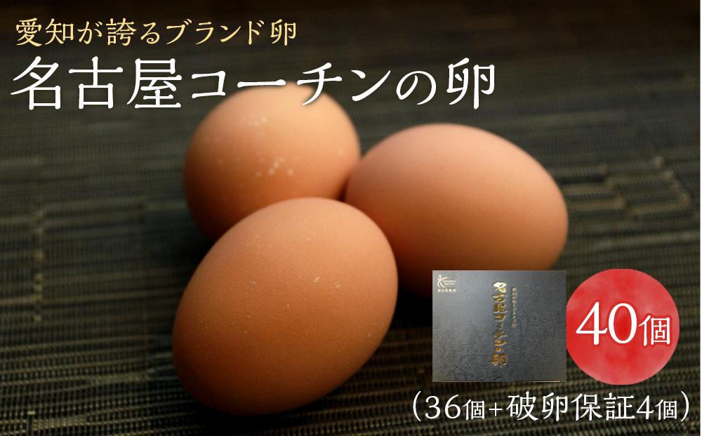 [ふるぽ]　☆名古屋コーチンの卵40個入り（36個+破卵保証4個）　JTBのふるさと納税サイト