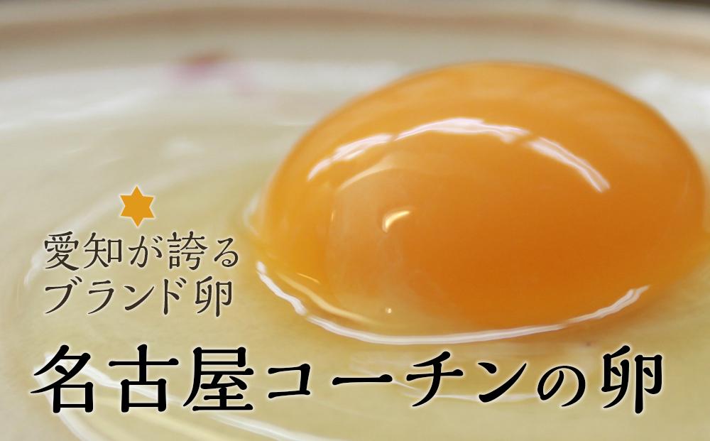 ふるさと納税 日本三大地鶏!! 「純系 名古屋コーチンの卵」（30個
