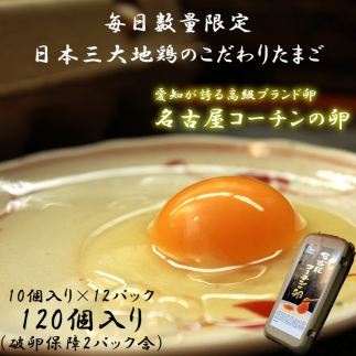 ☆名古屋コーチンの卵12パック（破卵保証2パック含）