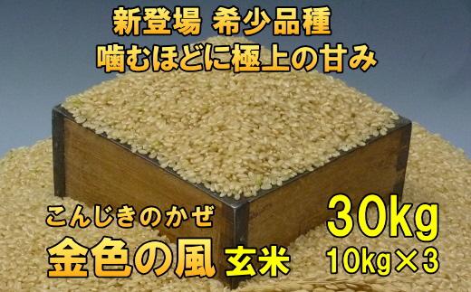 【玄米10kgx3袋】新登場の高級米　令和5年産  岩手県奥州市産 金色の風【７日以内発送】