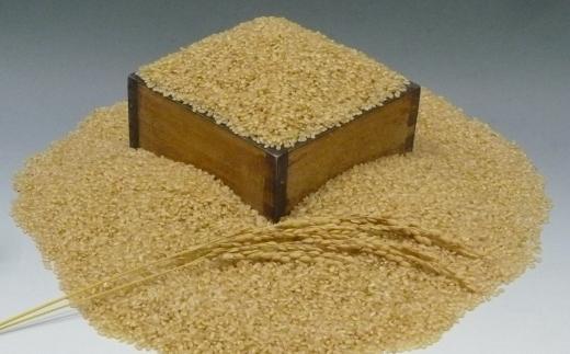【玄米1.5kg】人気沸騰の米　令和5年産　新米  岩手県奥州市産ひとめぼれ