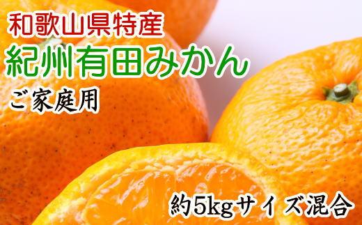 和歌山有田みかん5kg ご家庭用（サイズ混合）★2024年11月中旬頃より順次発送【TM102】