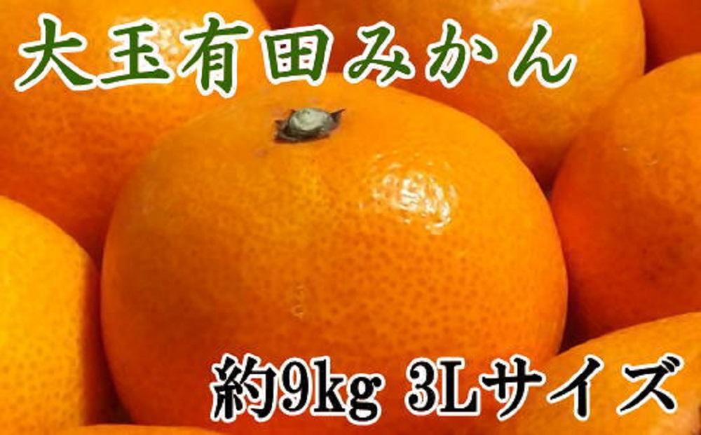 【食べごたえ十分】和歌山有田みかん大玉約9kg(3Lサイズ・秀品）★2024年11月中旬頃より順次発送