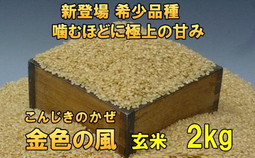 【玄米2kg】新登場の高級米　令和5年産  岩手県奥州市産 金色の風【７日以内発送】