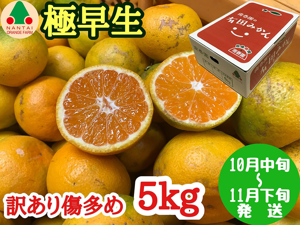 訳あり&nbsp;傷多め&nbsp;極早生&nbsp;有田&nbsp;みかん&nbsp;5kg&nbsp;L～SS&nbsp;サイズおまかせ&nbsp;南泰園&nbsp;和歌山&nbsp;有田みかん