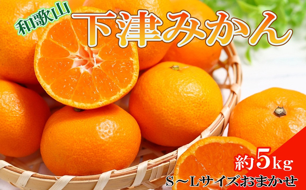 ［産直・秀品］和歌山下津みかん約5kg（S～Lサイズおまかせ）★2026年11月中旬頃より順次発送［TM133］