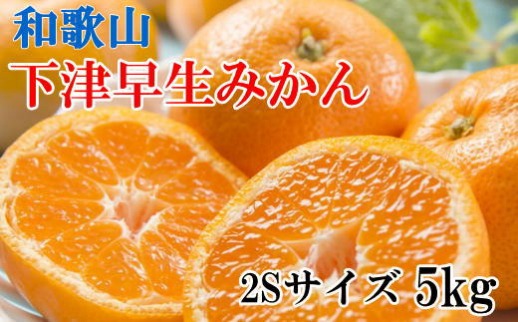 ※在庫切れ※【産直】下津の早生みかん約5kg（2Sサイズ）