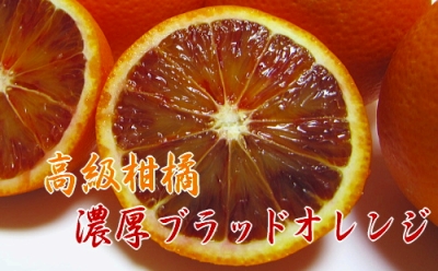 【高級柑橘】和歌山県産 ブラッドオレンジ“タロッコ”約5kg