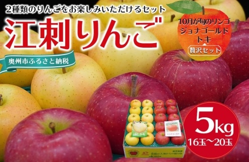 【数量限定】江刺りんご ジョナゴールド・トキ 5kg（16～20玉）【10月中旬以降お届け】