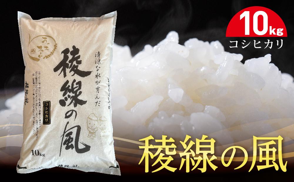 稜線の風（コシヒカリ）10kg｜米  国産米 長野県産 人気 おすすめ お米 白米 減農薬 新米 ごはん 和食 健康 送料無料 長野県 大町市 ふるさと納税
