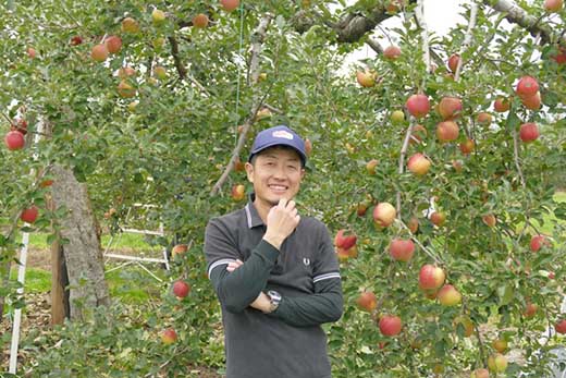 りんご 秋映 長野県大町市 4.5kg ( 12個～18個 )