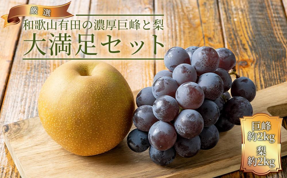 農家直送 和歌山有田の朝採り 巨峰 と 梨 大満足セット［2026年・先行予約］