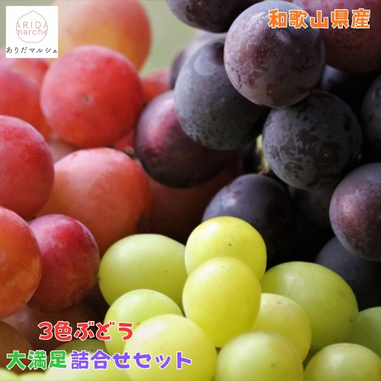 農家直送 ３色ぶどう詰め合わせ大満足セット 約4kg入り［2026年・先行予約］